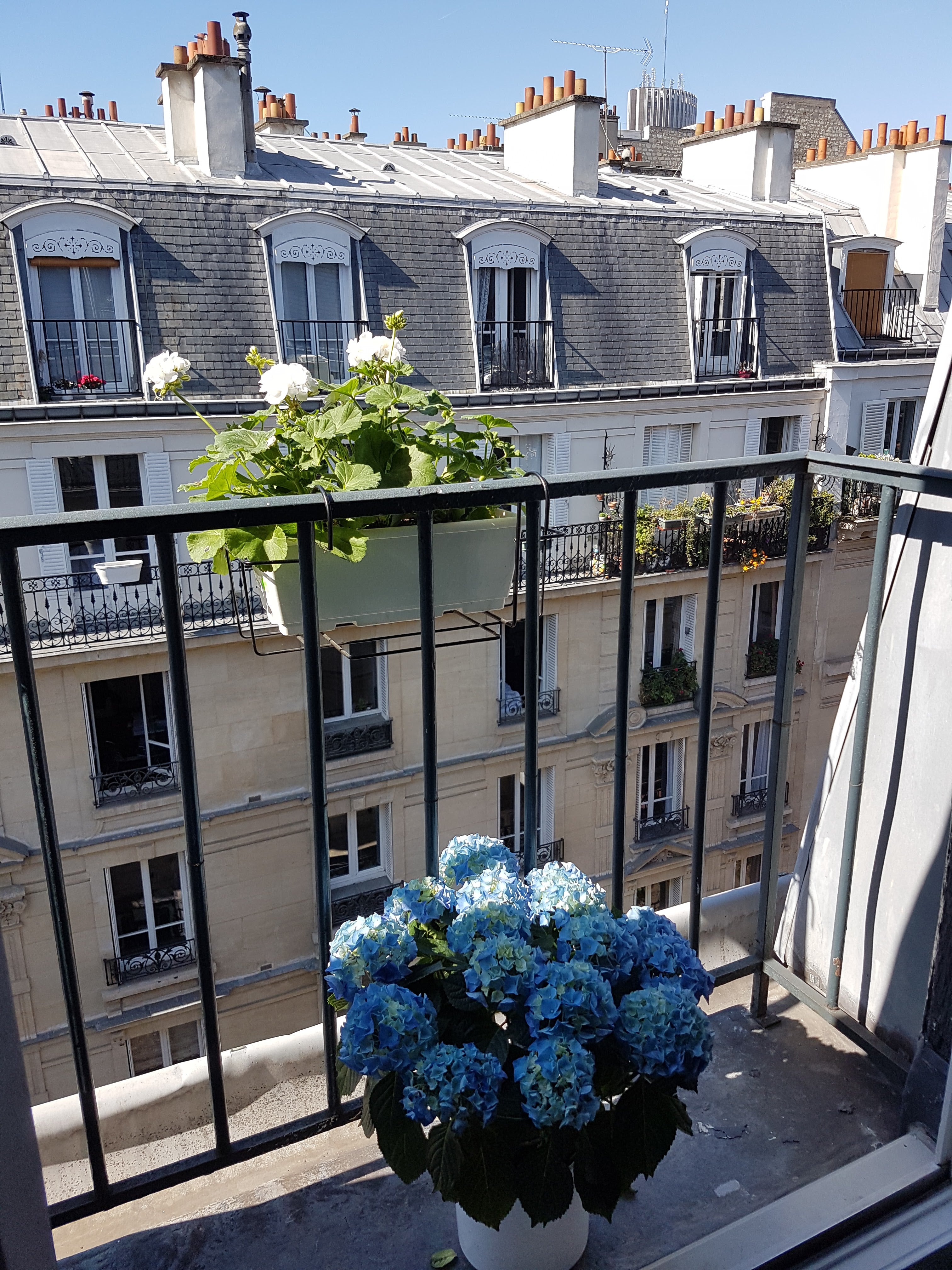 Le 17ᵉ arrondissement: Paris sans le cliché