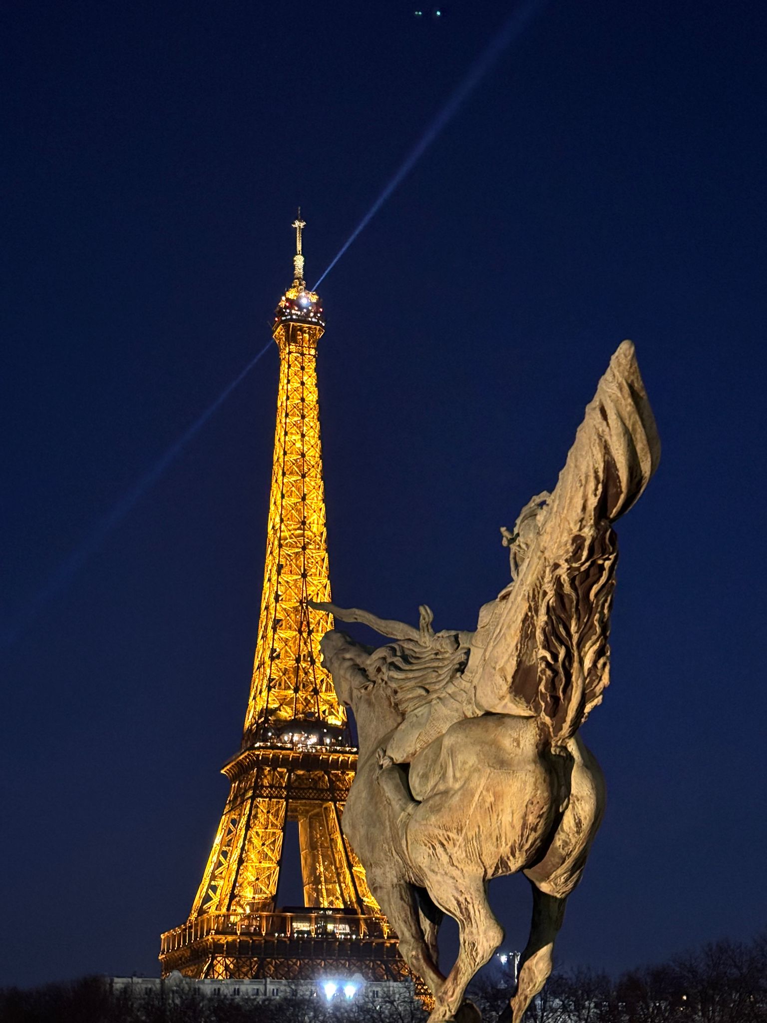 Puzzle 1000 pièces Paris Tour Eiffel, l'Ile aux Cygnes