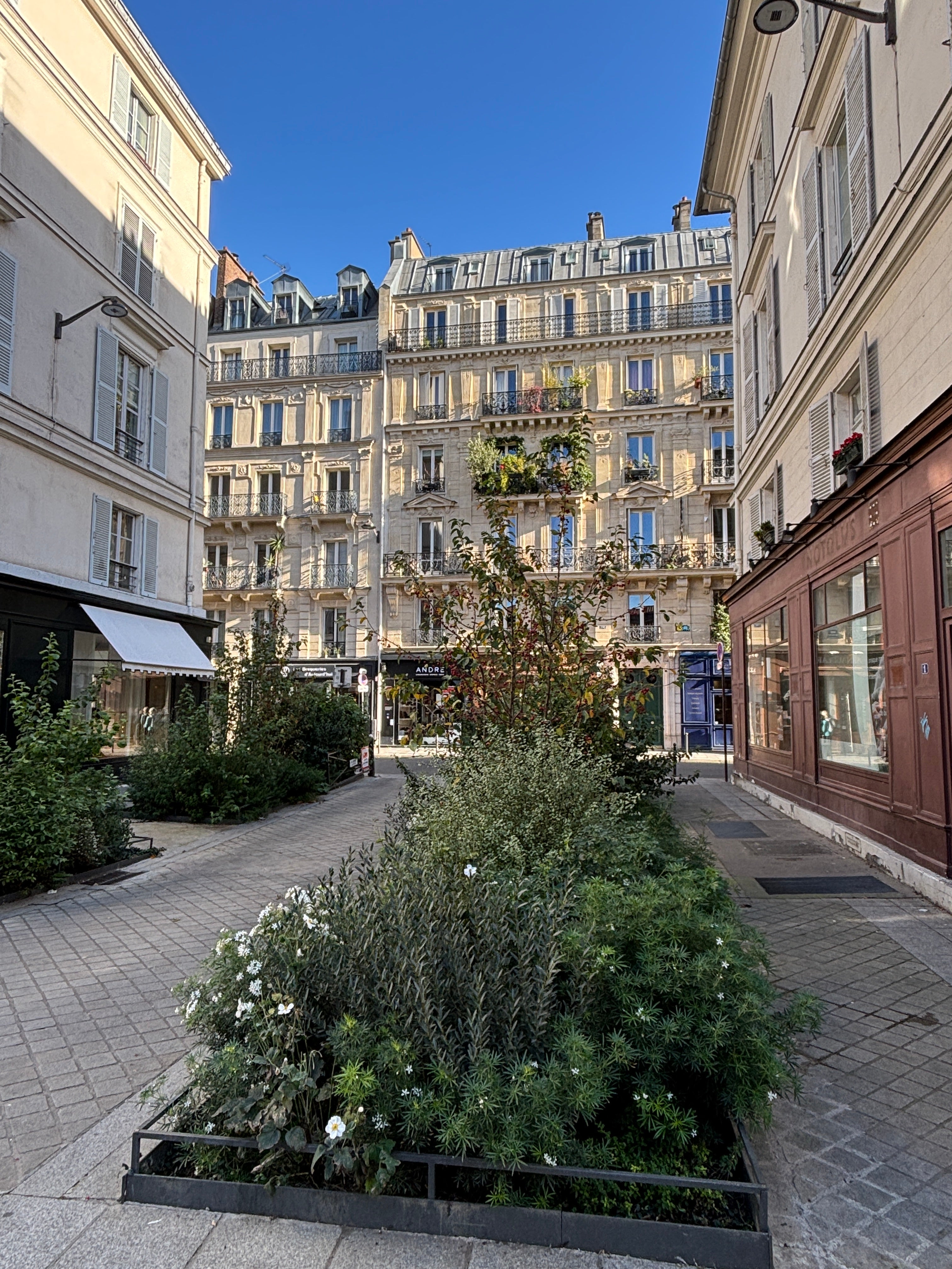 Puzzle 1000 pièces rue Toustain Paris 6 bis