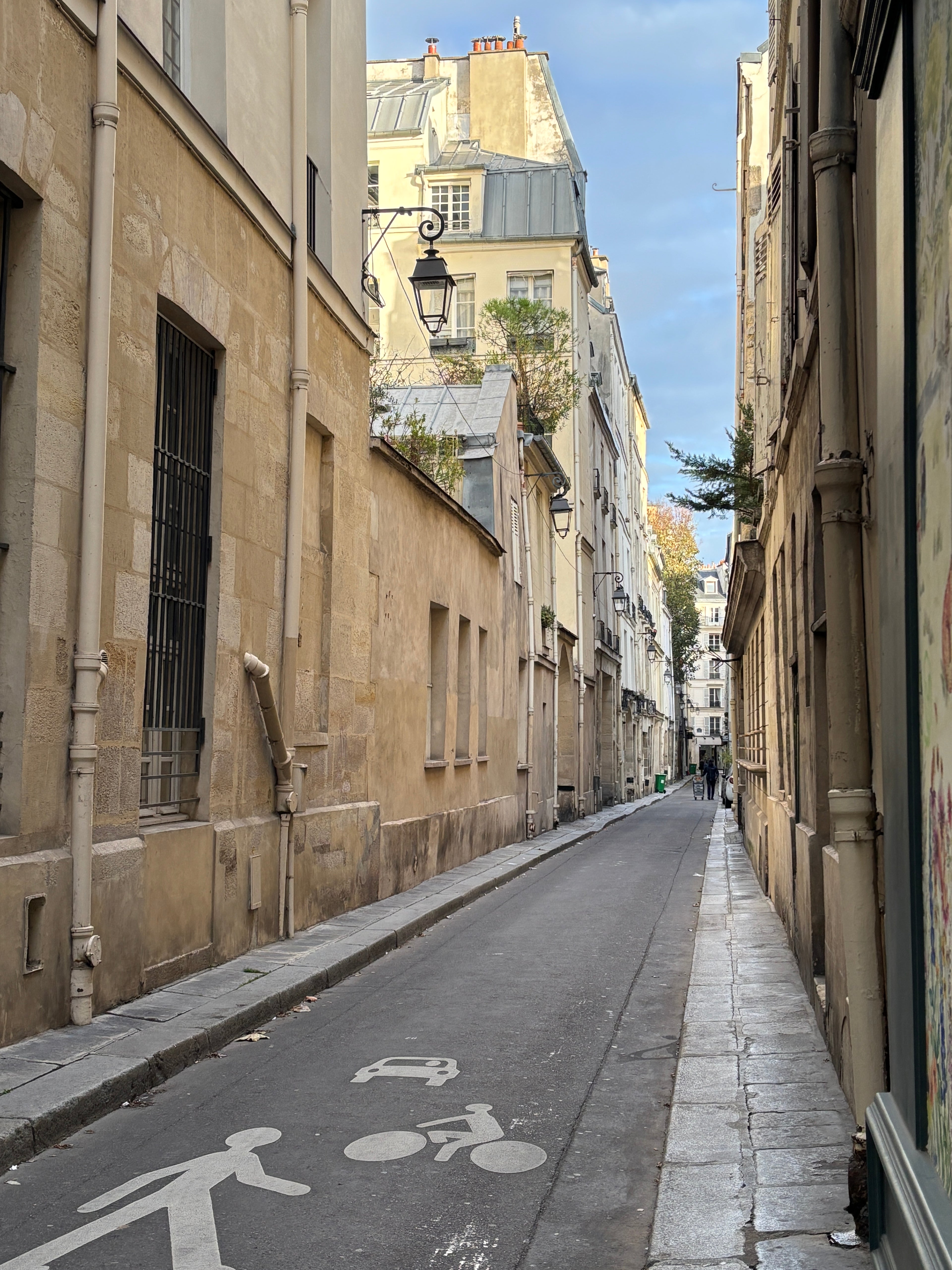 Puzzle 1000 pièces rue Visconti Paris 6