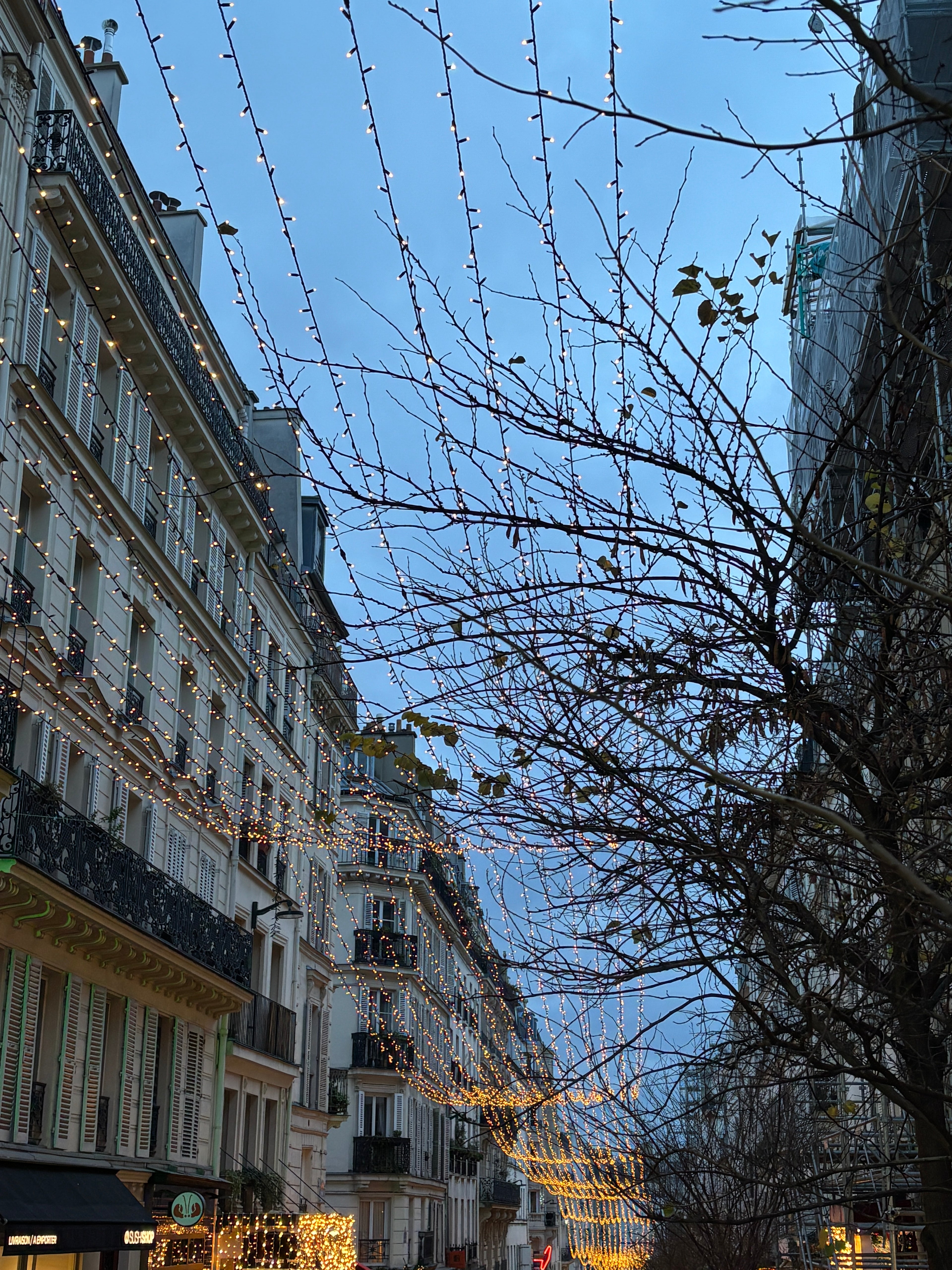 Puzzle 500 pièces rue des Martyrs Paris 9